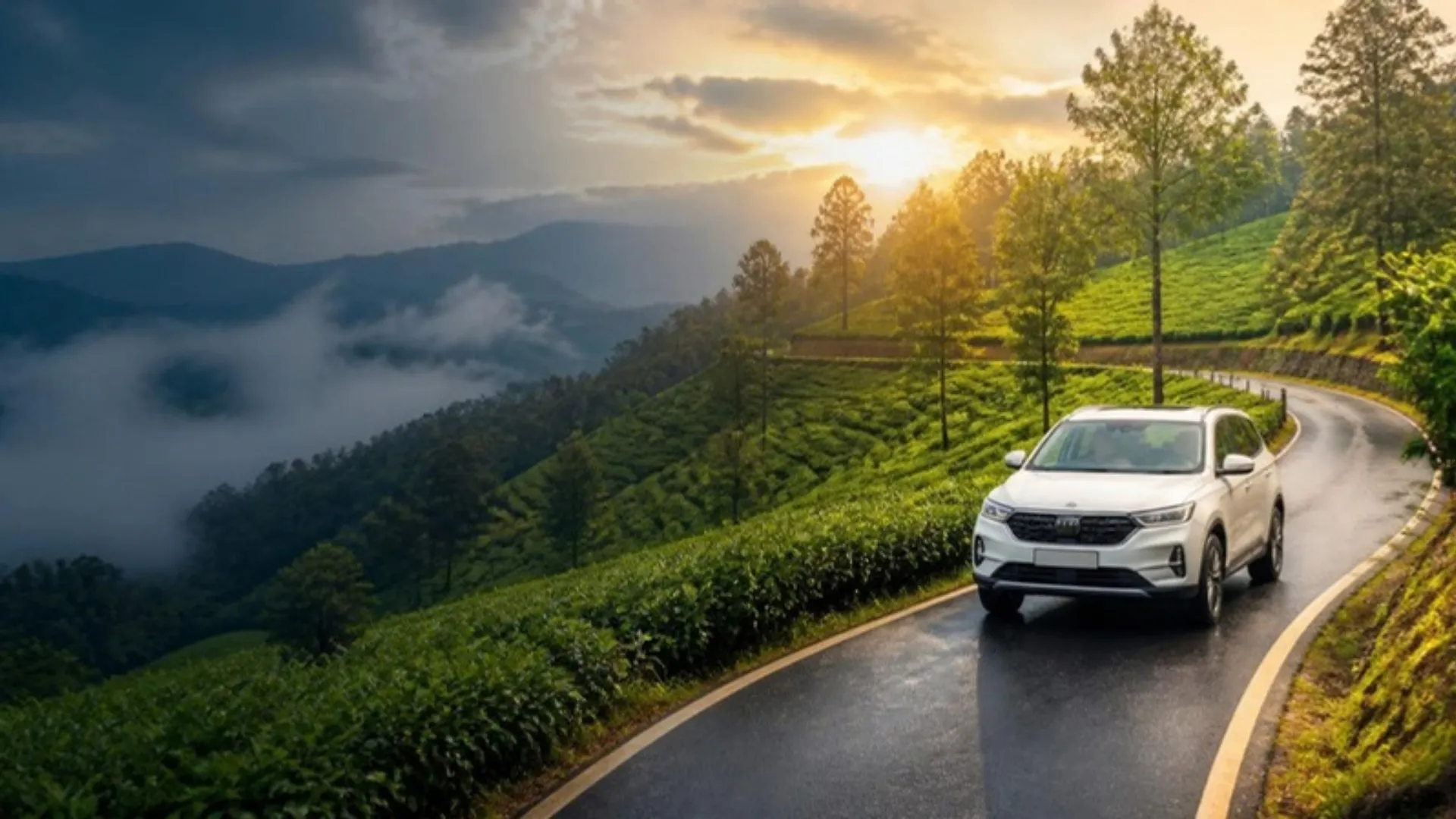 Illustration of a white SUV on a winding road through misty tea plantations in the hills